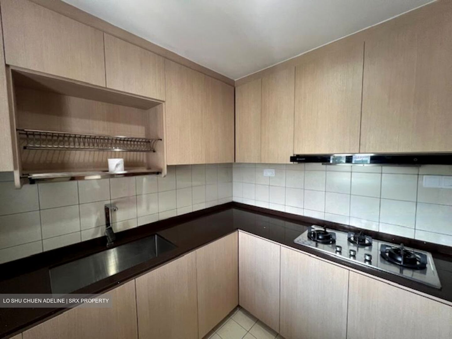 Carissa Park Condominium (D17), Condominium #460847721